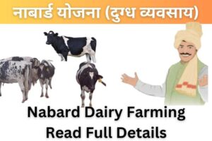 Nabard Dairy Farming