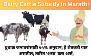 Dairy Cattle Subsidy in Marathi